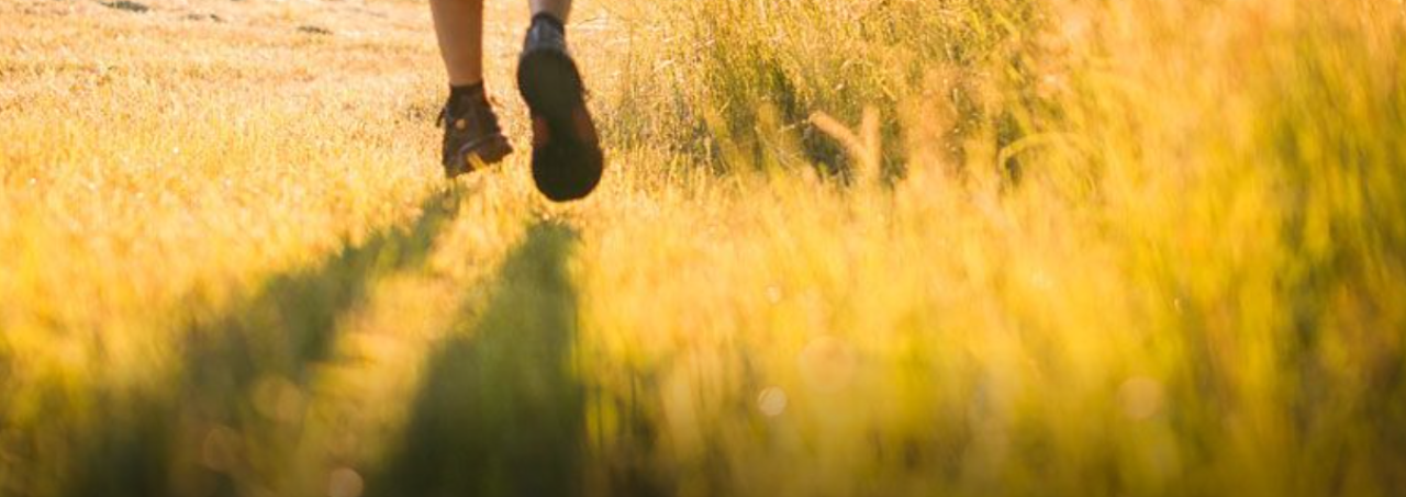 Tentez de gagner un chèque cadeau running  banner