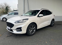 Ford Kuga 2.5 Duratec 190ch FHEV E85 ST-Line Business BVA