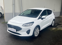 Ford Fiesta 1.0 Flexifuel 95ch Titanium Business 5p