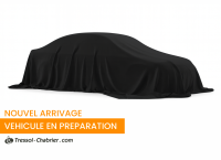 Skoda FABIA Nouveau 1.0 TSI 95 ch EVO 2 BVM5 Selection