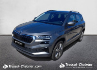 Skoda Karoq 2.0 TDI 116 ch SCR DSG7 Business