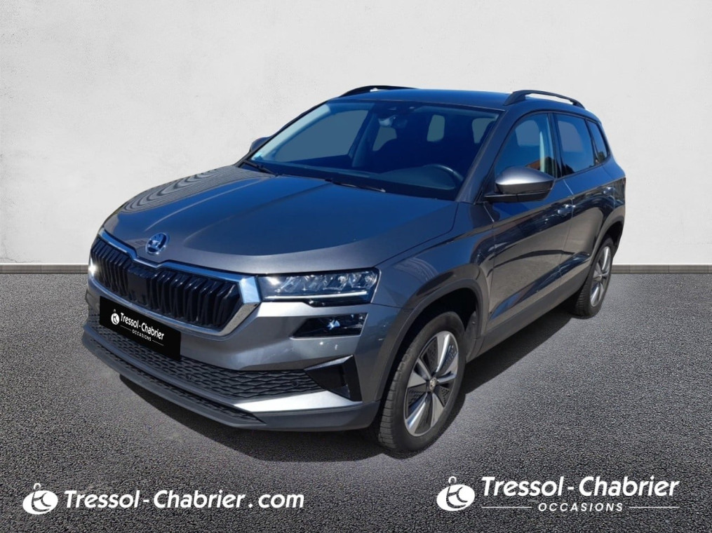 Skoda Karoq 2.0 TDI 116 ch SCR DSG7 Business