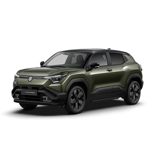 suzuki-e-vitara-parot